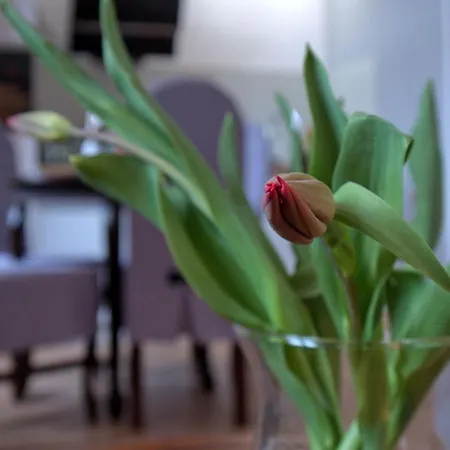 Homestay Goscinne Rubens Krakow