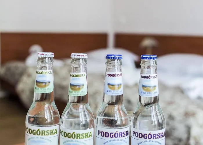 Goscinne Rubens * Kraków