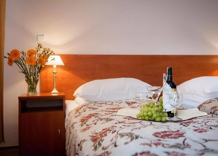 Goscinne Rubens Kwatera prywatna Kraków