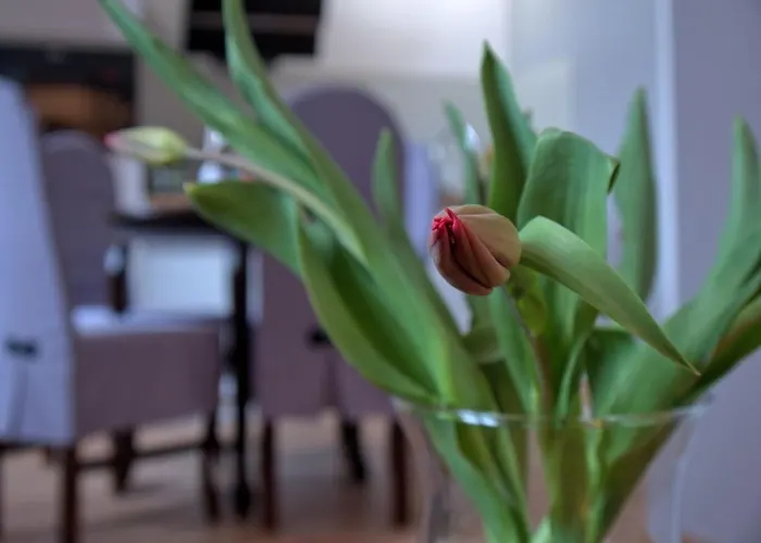 Kwatera prywatna Goscinne Rubens Kraków