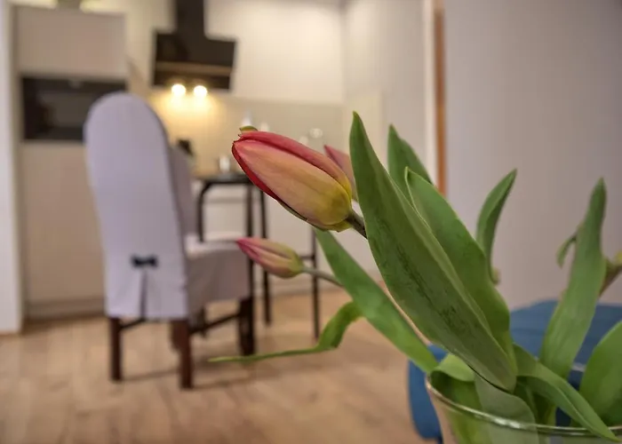 Goscinne Rubens Pansiyon *